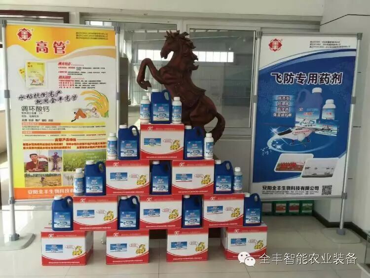 飛翔的全豐夢想 