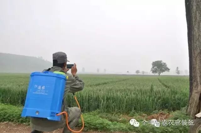 飛翔的全豐夢想 