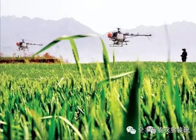 飛翔的全豐夢想 