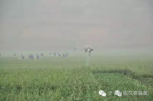 飛翔的全豐夢想 