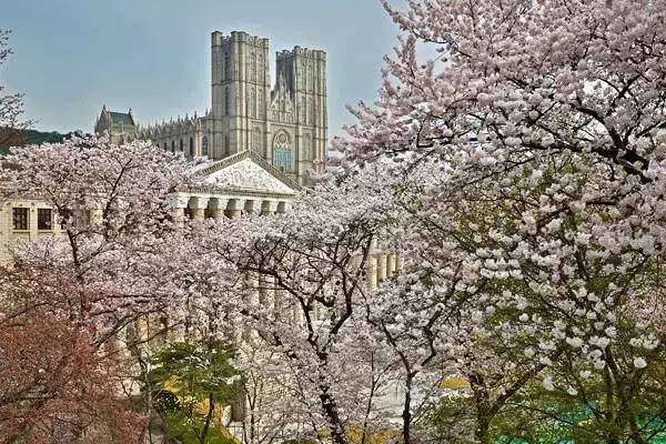 庆熙大学-韩国最美大学校园