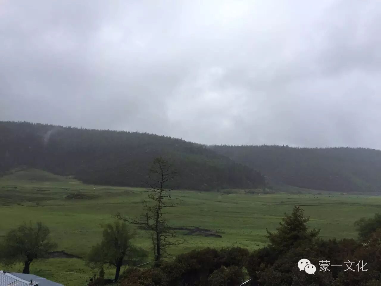 早上是几点到几点_减肥是早上跑步好还是晚上跑步好_晚上鼻塞,早上打喷嚏流鼻涕是感冒吗