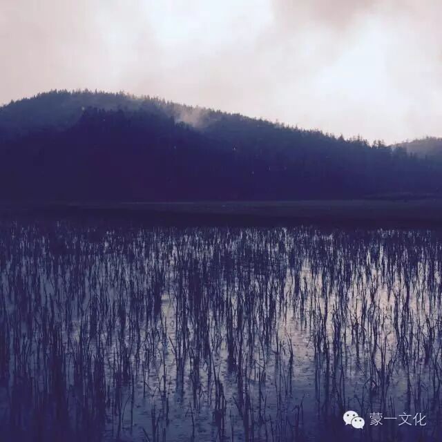 减肥是早上跑步好还是晚上跑步好_早上是几点到几点_晚上鼻塞,早上打喷嚏流鼻涕是感冒吗