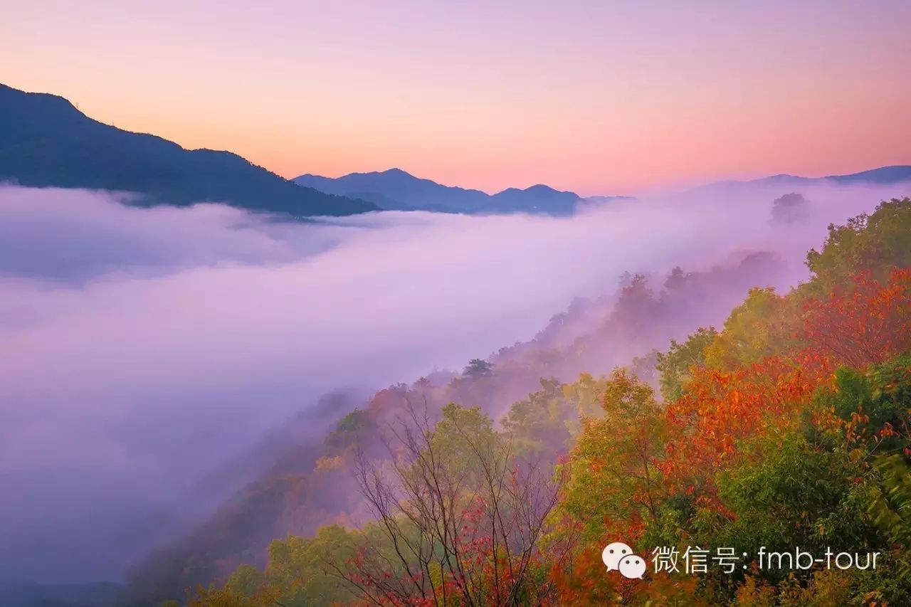 日本有座古城 它是现实版的 天空之城 也是隐藏在山里的魔法学校 自由微信 Freewechat