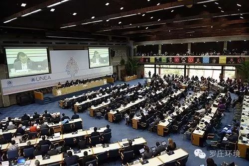 李晨出席联合国环境大会 ＂大黑牛＂抚摸小象爱心满满