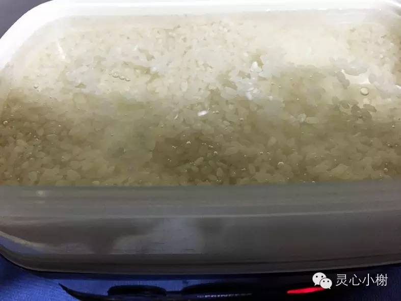 算算一碗米饭有多少热量? <wbr>我吃的主食少不少