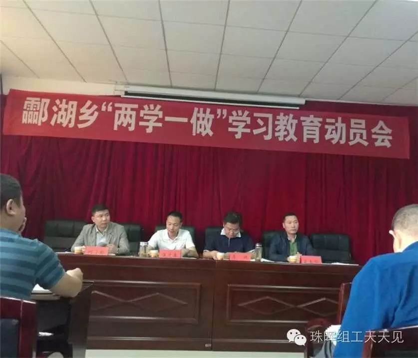 区委常委、组织部长、统战部长李健出席酃湖乡“两学一做...