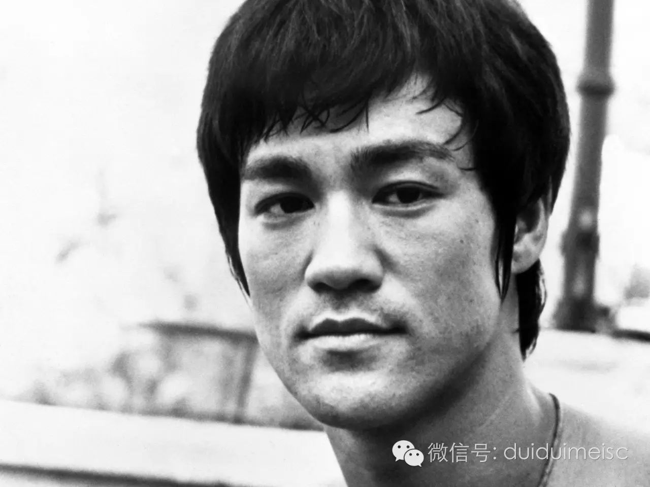 李小龙猝然离世 隐瞒40年!李小龙死因真相曝光