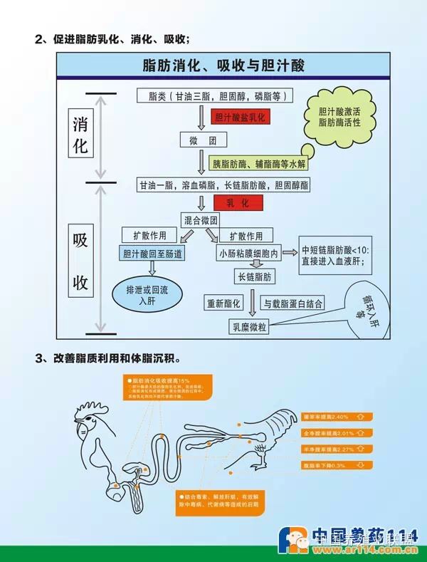 点击打开原图