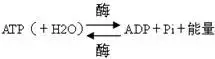 高一生物必修一公式总结