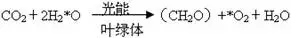 高一生物必修一公式总结