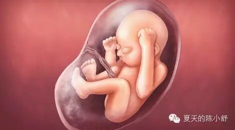 从怀孕到两岁,生命最重要的1000天-怀孕期