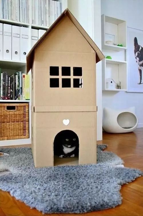 用纸箱帮你家小动物做一个家,暖暖哒