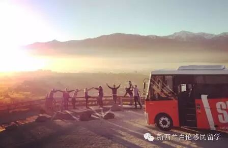 【就想抽个奖，送你出去玩】不一样的自由行 – Stray Hop on Hop off 深度悠游新西兰