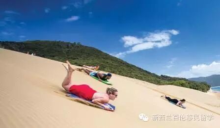 【就想抽个奖，送你出去玩】不一样的自由行 – Stray Hop on Hop off 深度悠游新西兰