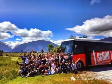 【就想抽个奖，送你出去玩】不一样的自由行 – Stray Hop on Hop off 深度悠游新西兰