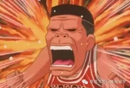 【快讯】新西兰各类签证申请费平均上涨8.3%，online申请最省钱！