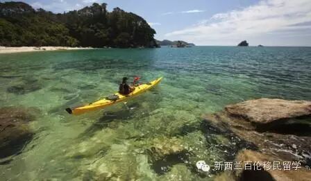 【就想抽个奖，送你出去玩】不一样的自由行 – Stray Hop on Hop off 深度悠游新西兰