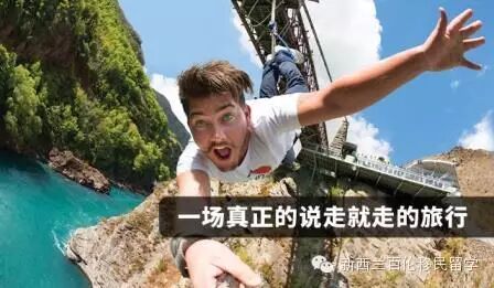 【就想抽个奖，送你出去玩】不一样的自由行 – Stray Hop on Hop off 深度悠游新西兰