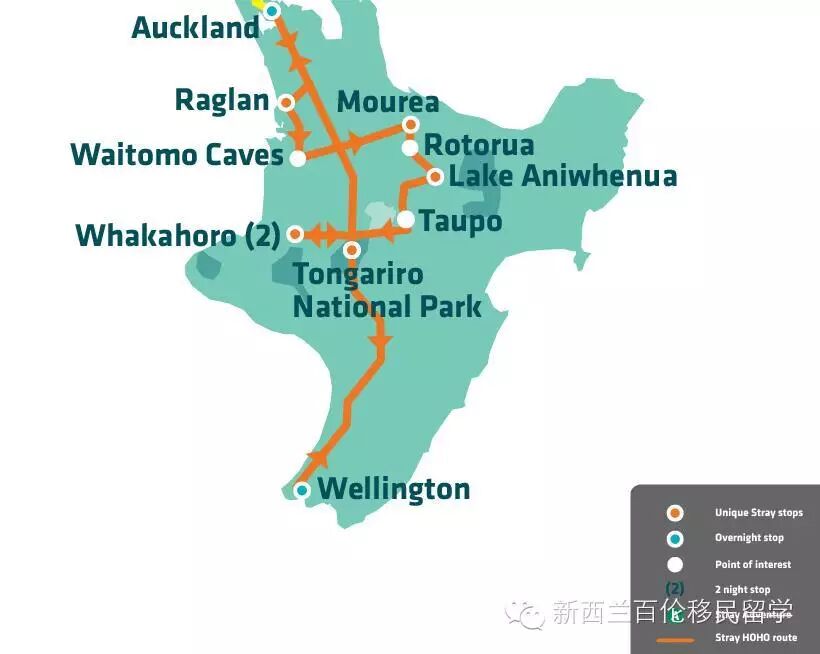 【就想抽个奖，送你出去玩】不一样的自由行 – Stray Hop on Hop off 深度悠游新西兰