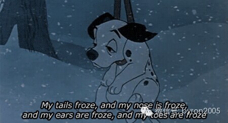 朋友圈里的新西兰 VS. 真实的新西兰