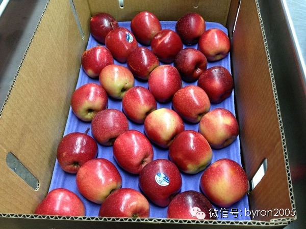 夏天做点啥？新西兰务农小结