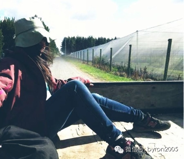 夏天做点啥？新西兰务农小结