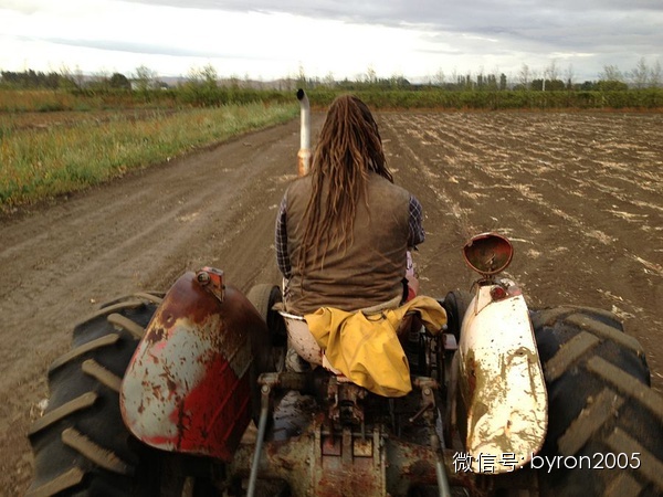 夏天做点啥？新西兰务农小结
