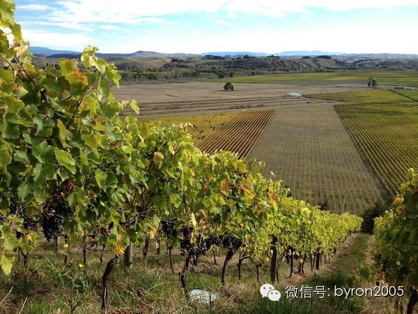 夏天做点啥？新西兰务农小结