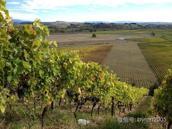 夏天做点啥？新西兰务农小结