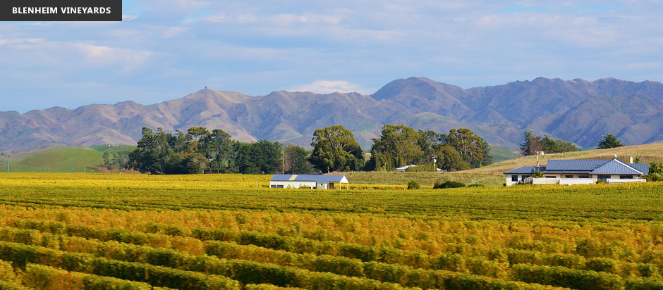 换一种方式慢慢游新西兰：观景火车指南