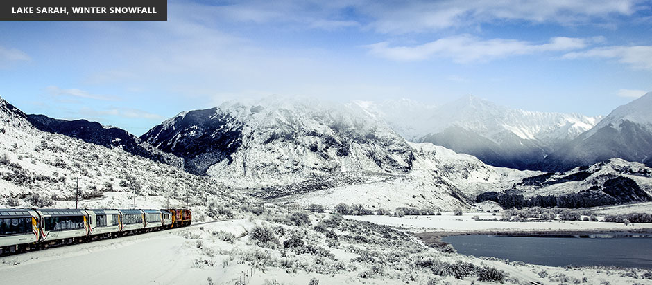 换一种方式慢慢游新西兰：观景火车指南