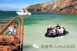 勇士之旅：新西兰唯一的岛屿活火山 - White Island