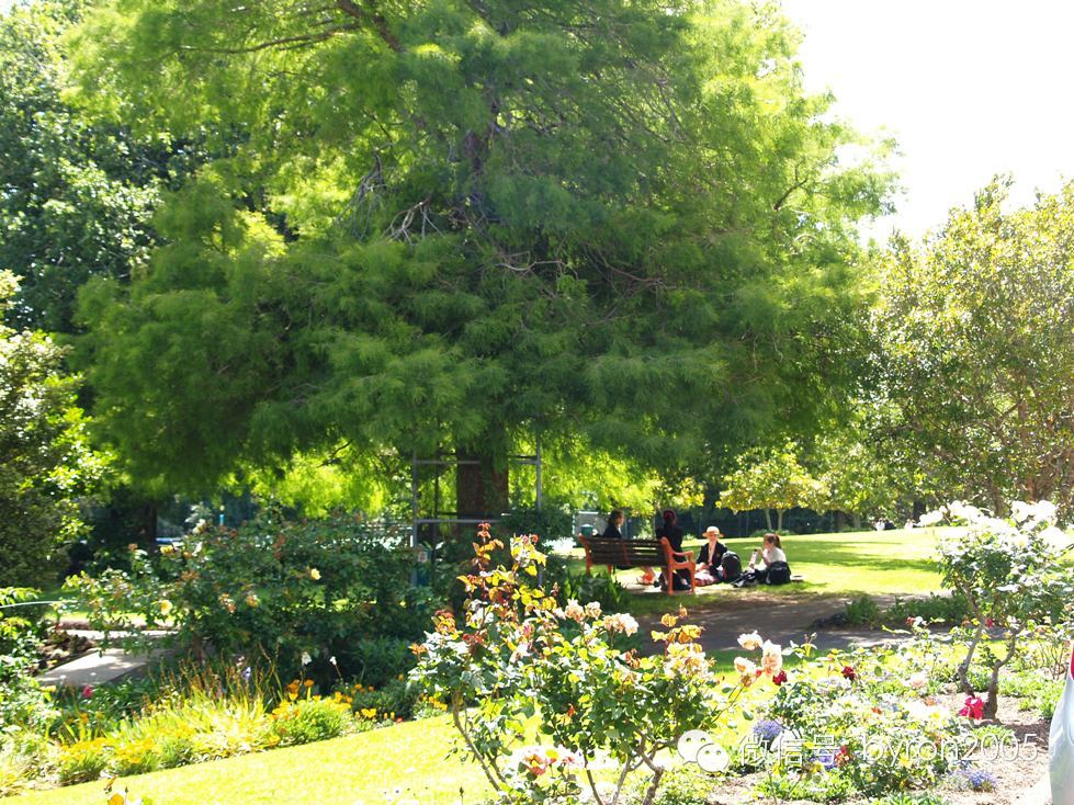 巴拉丁圣心学院：快乐至上~ （是巴拉丁不是阿拉丁！）