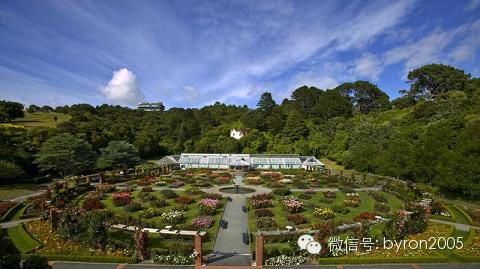新西兰的光棍节，去全球最酷小首都惠灵顿吹一天风