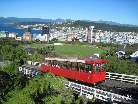 新西兰的光棍节，去全球最酷小首都惠灵顿吹一天风