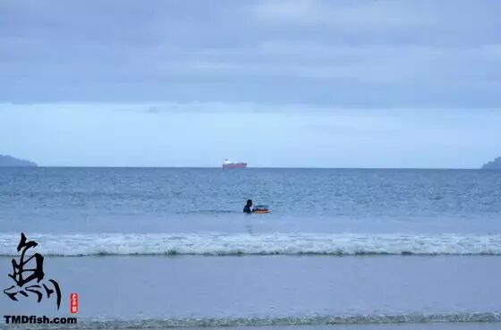 在新西兰抓海鲜吃(鲍鱼/螃蟹/青口)攻略