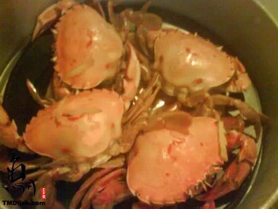 在新西兰抓海鲜吃(鲍鱼/螃蟹/青口)攻略