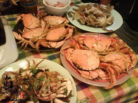 在新西兰抓海鲜吃(鲍鱼/螃蟹/青口)攻略