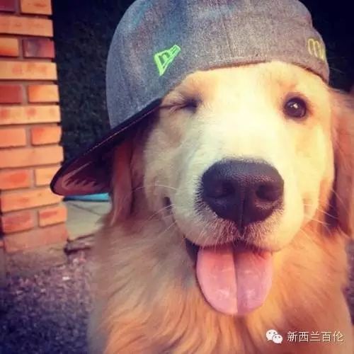 如何正确地游学:只选合适的