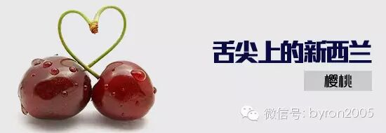 吃货┃舌尖上的新西兰——樱桃