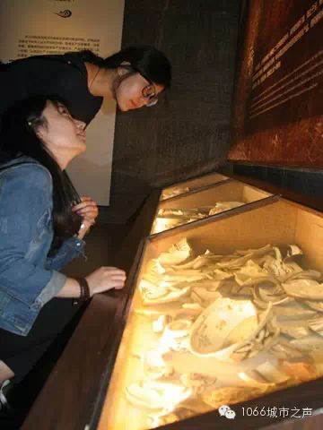 聽眾在認(rèn)真觀看古代遺留下來的鈞瓷碎片