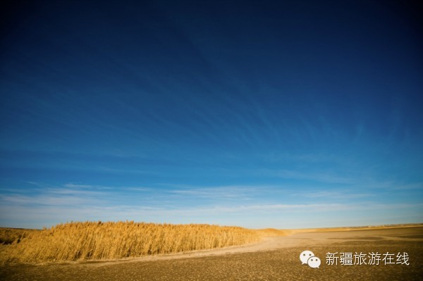 迄今为止见过的最羡慕嫉妒恨的自驾游记!