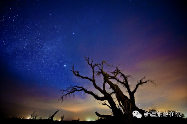 迄今为止见过的最羡慕嫉妒恨的自驾游记!