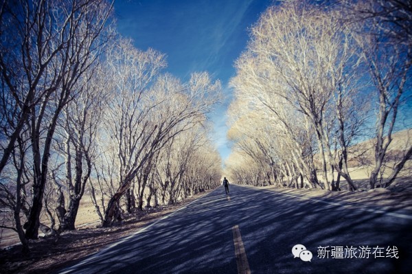 迄今为止见过的最羡慕嫉妒恨的自驾游记!