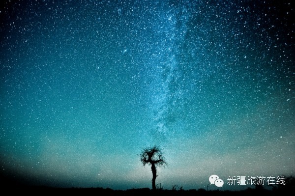 迄今为止见过的最羡慕嫉妒恨的自驾游记!