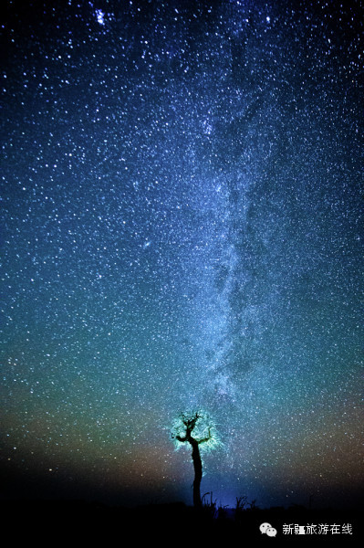 迄今为止见过的最羡慕嫉妒恨的自驾游记!