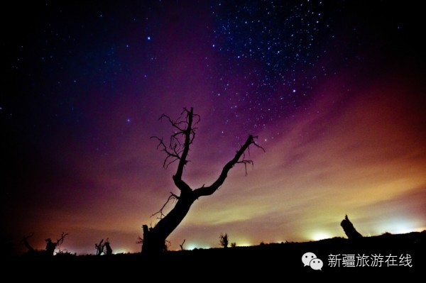 迄今为止见过的最羡慕嫉妒恨的自驾游记!