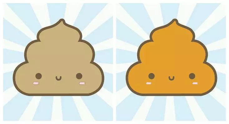 正常的便便  一般情况下,大便呈淡黄色或淡褐色.