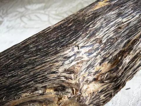 銘「黄鶴」　伽羅　聞香　香木　沈香　香道　奇南　伽南　沉香 銘「黄鶴」 伽羅 聞香 香木 沈香 香道 奇南 伽南 沉香 - メルカリ